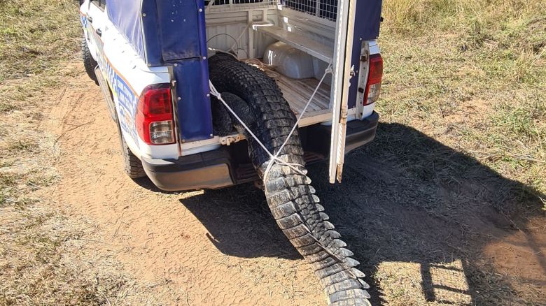 Australian community eats problem crocodile